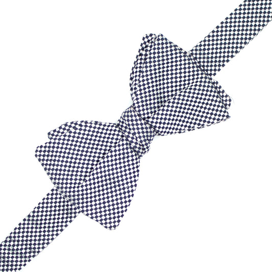 Blue and white checkered papillon